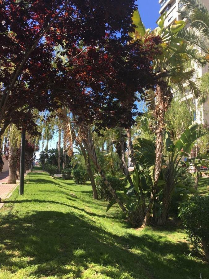 Apartamento Agua Marina Levante Beach Benidorm Exterior foto
